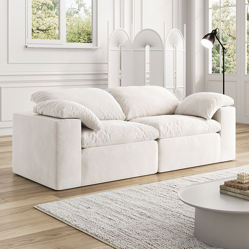 Vacuum Sealed Compression Sofa Velvet Cloud Sofa picture 16 - Lkikos.com